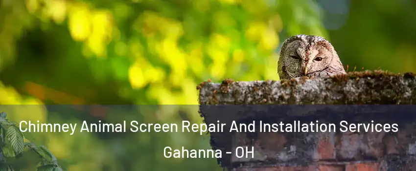  Chimney Animal Screen Repair And Installation Services Gahanna - OH