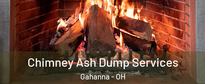  Chimney Ash Dump Services Gahanna - OH