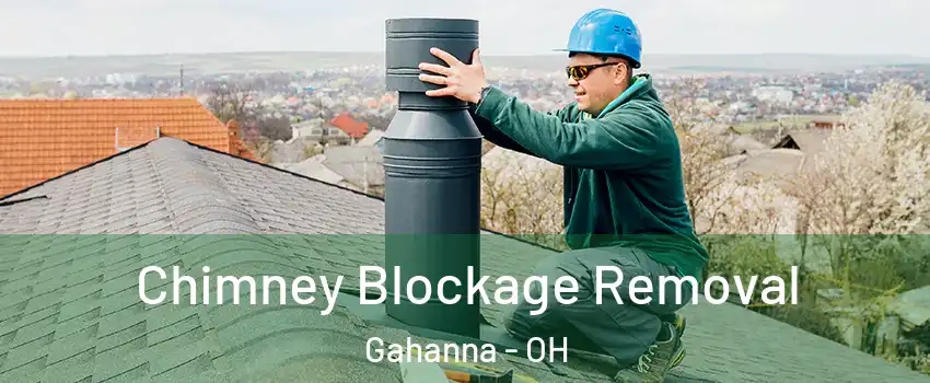  Chimney Blockage Removal Gahanna - OH
