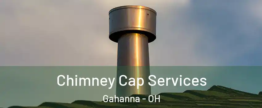  Chimney Cap Services Gahanna - OH