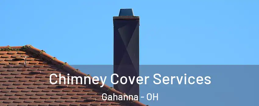  Chimney Cover Services Gahanna - OH