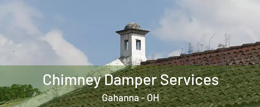  Chimney Damper Services Gahanna - OH