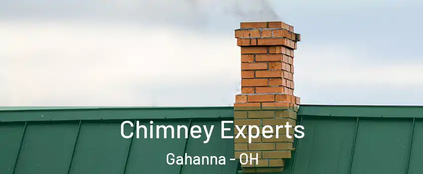 Chimney Experts Gahanna - OH