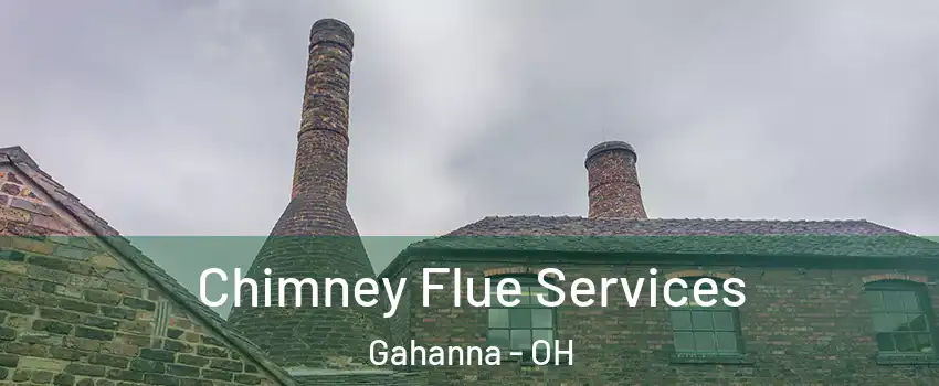  Chimney Flue Services Gahanna - OH