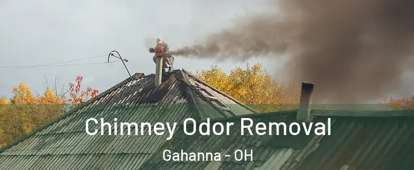  Chimney Odor Removal Gahanna - OH