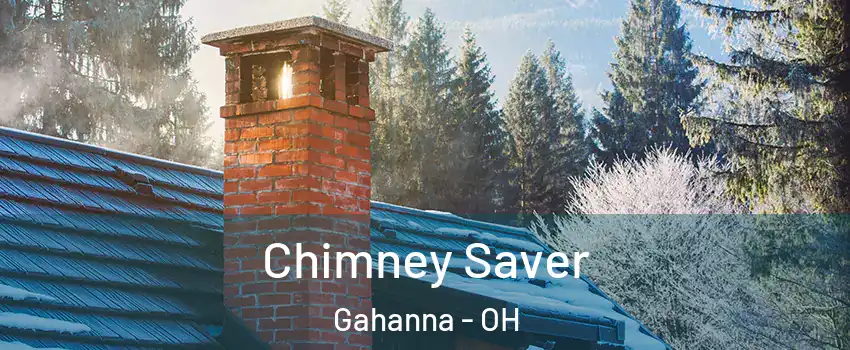  Chimney Saver Gahanna - OH