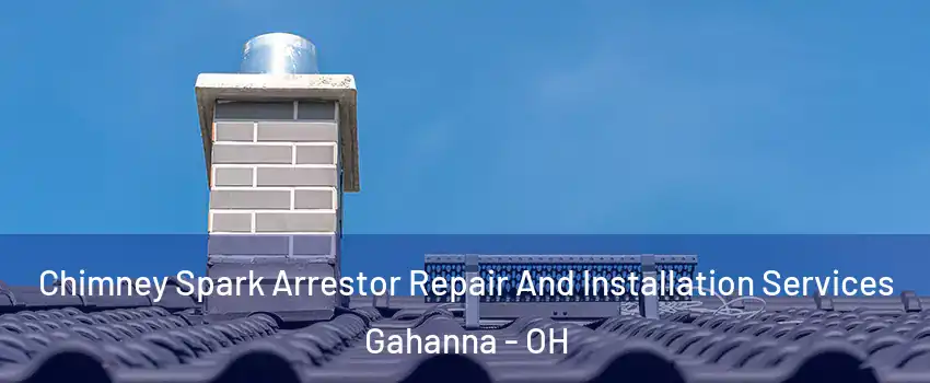  Chimney Spark Arrestor Repair And Installation Services Gahanna - OH
