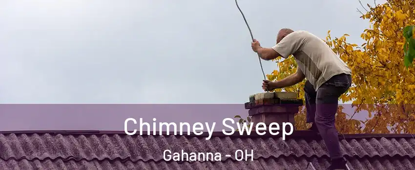  Chimney Sweep Gahanna - OH