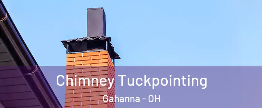  Chimney Tuckpointing Gahanna - OH