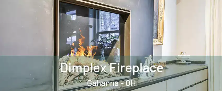  Dimplex Fireplace Gahanna - OH