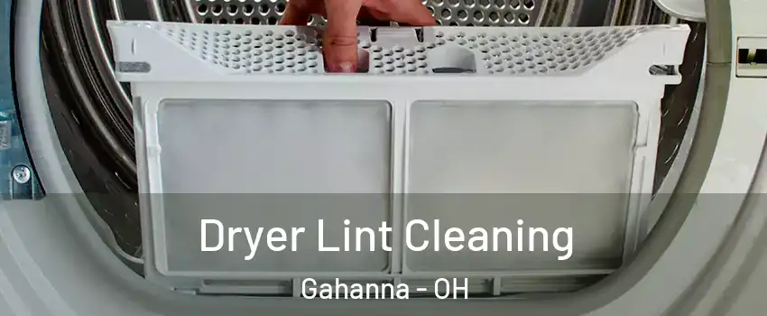  Dryer Lint Cleaning Gahanna - OH