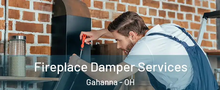  Fireplace Damper Services Gahanna - OH