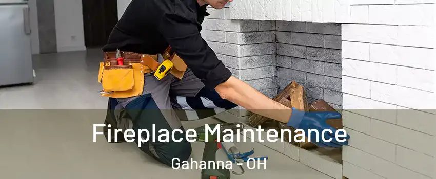  Fireplace Maintenance Gahanna - OH
