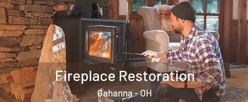  Fireplace Restoration Gahanna - OH