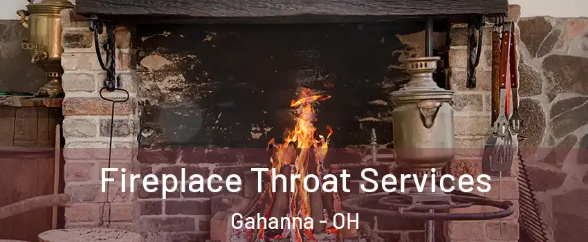  Fireplace Throat Services Gahanna - OH
