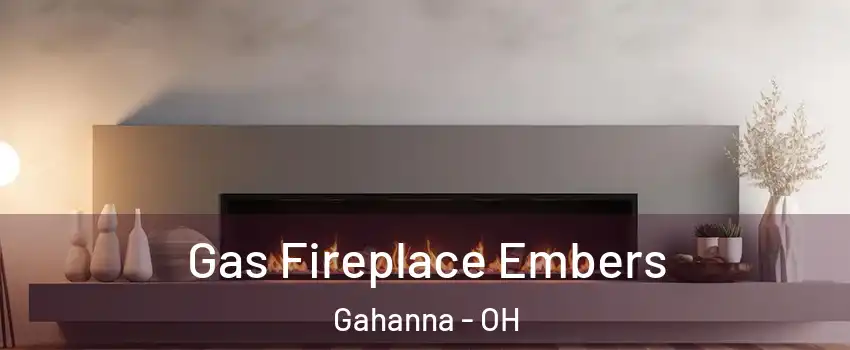  Gas Fireplace Embers Gahanna - OH
