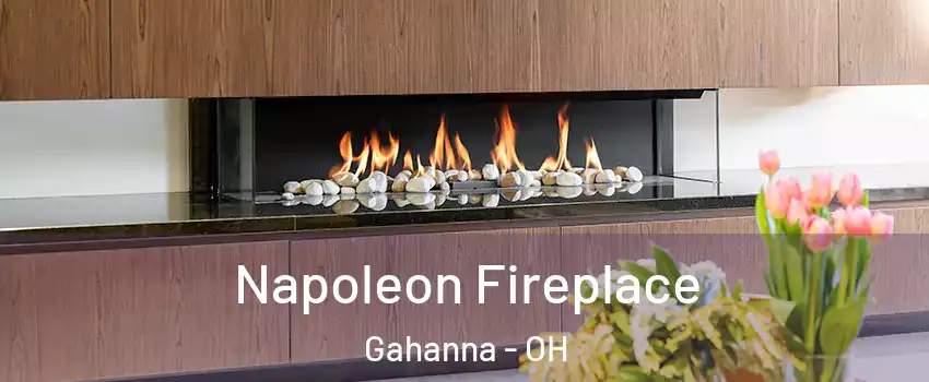  Napoleon Fireplace Gahanna - OH