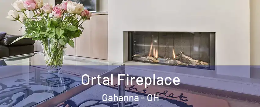 Ortal Fireplace Gahanna - OH