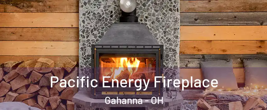  Pacific Energy Fireplace Gahanna - OH